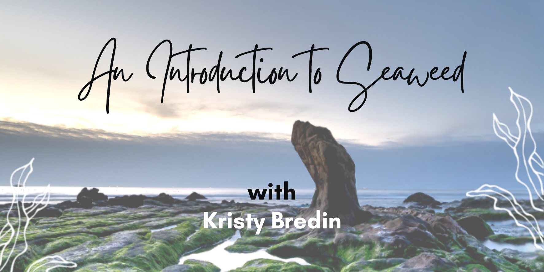 An Introduction to Seaweed with Kristy Bredin